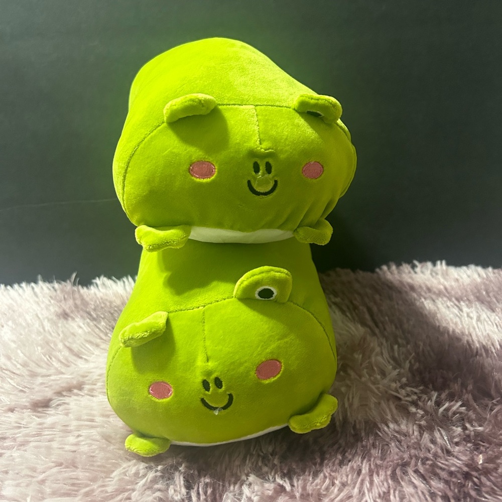 004 BOGO: buy 1 get 1 green frog plushies